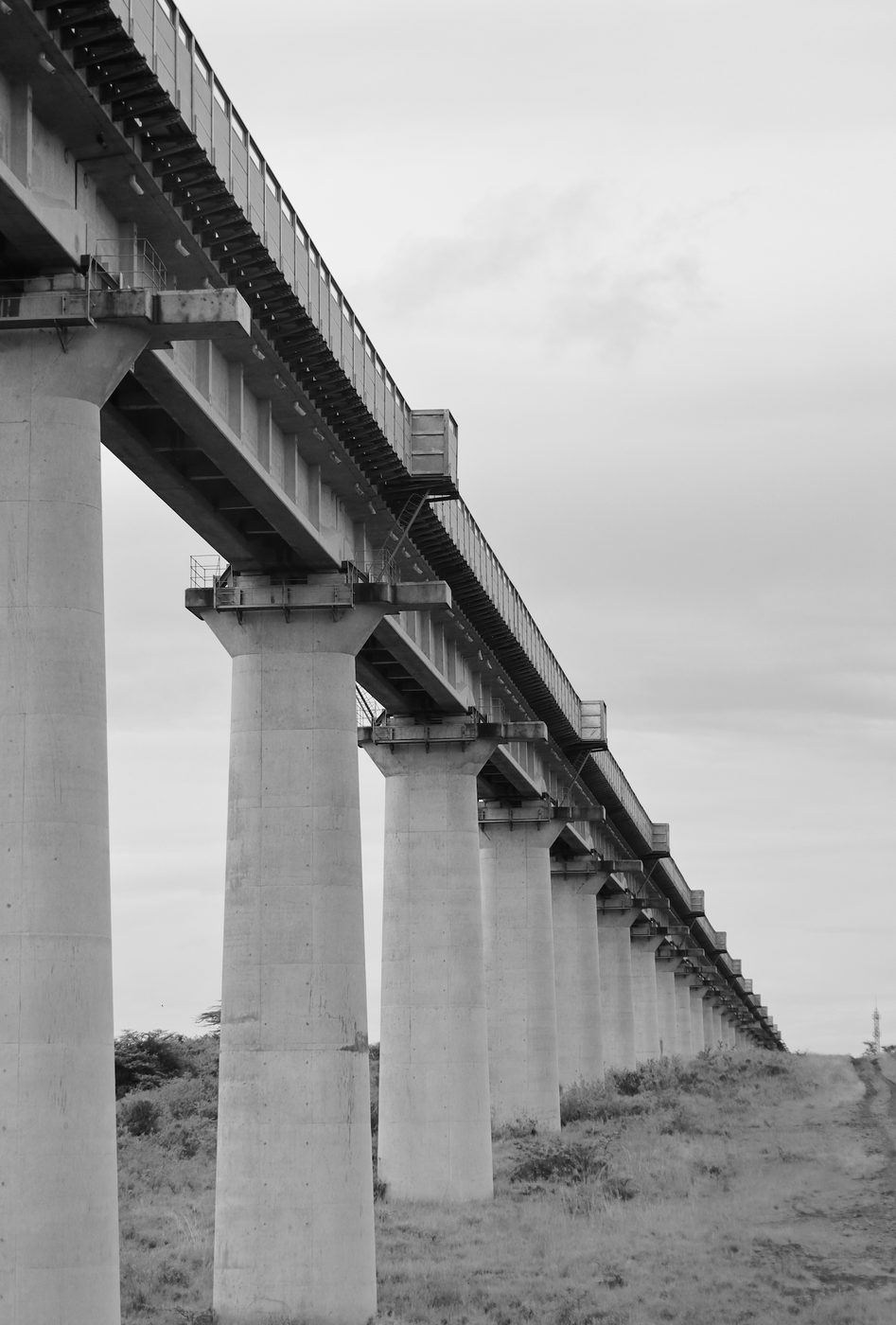 The SGR railway viaduct receding into the distance on concrete pillars, in black and white